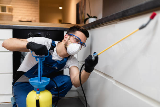 Pest Prevention Services in Pike Creek, DE