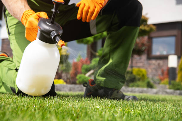 Professional Pest Control in Pike Creek, DE