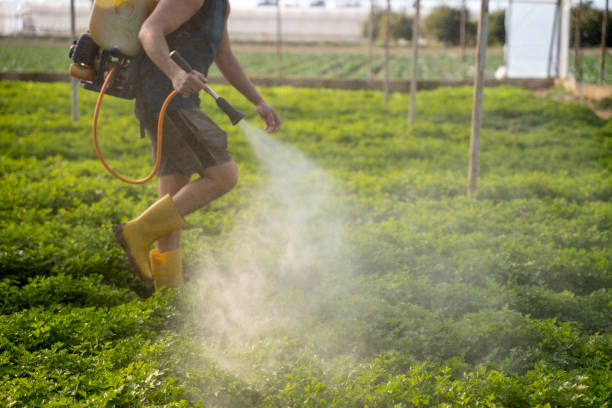 Best Ant Control Services  in Pike Creek, DE