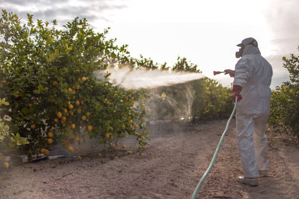 Best Residential Pest Control  in Pike Creek, DE