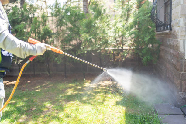Best Termite Control Services  in Pike Creek, DE