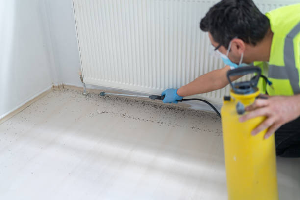 Best Pest Prevention Services  in Pike Creek, DE