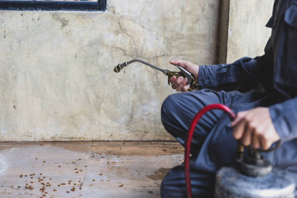 Best Pest Control Near Me in Pike Creek, DE