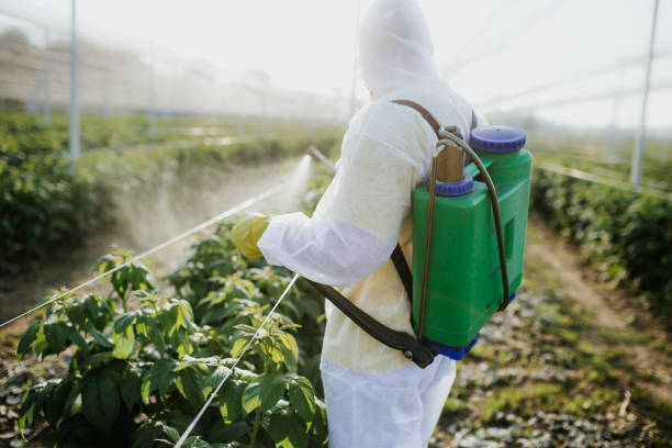 Best Bed Bug Extermination  in Pike Creek, DE